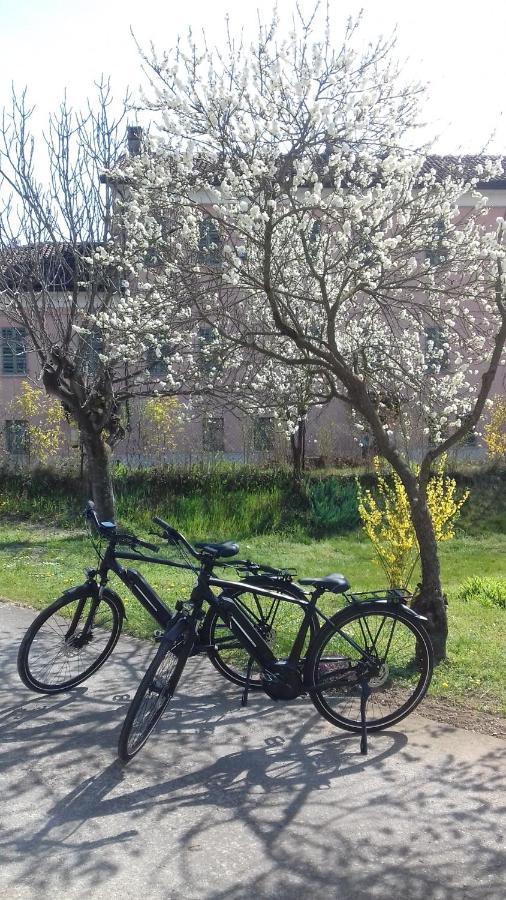 Agriturismo Casa Matilde Lauriano Екстер'єр фото